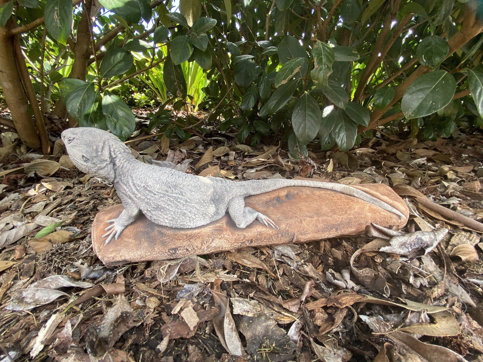 Bearded Dragon Lizard Statue Ornament Animal Concrete Garden Australian Made