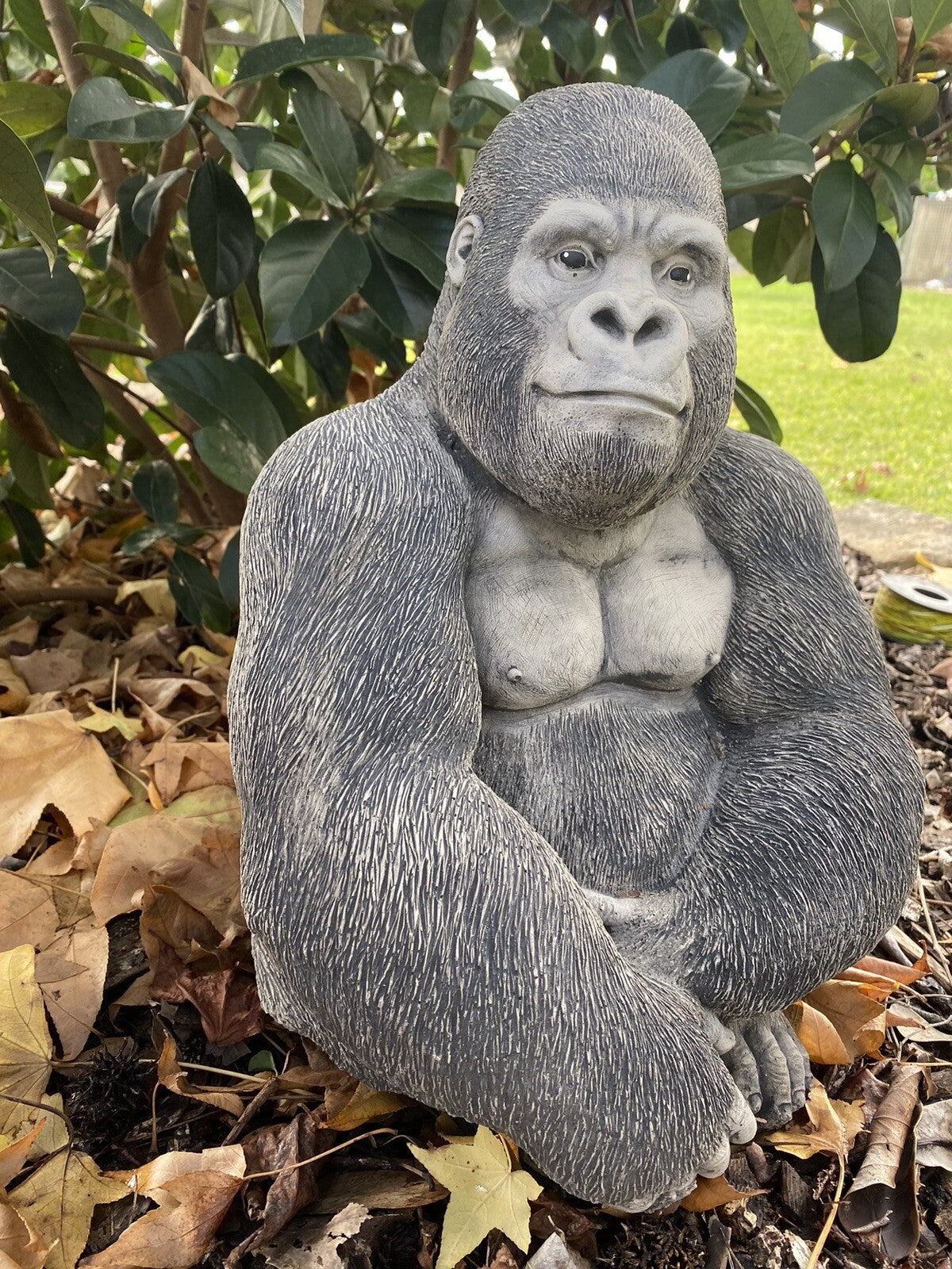 Gorilla Ape Monkey Statue Ornament Animal Concrete Cement Garden Australian Made