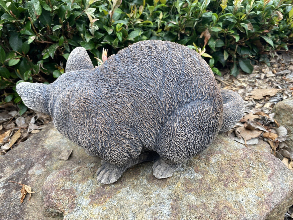 Australian Possum Concrete Cement Garden Statue Ornament Sculpture Home décor