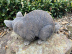 Australian Possum Concrete Cement Garden Statue Ornament Sculpture Home décor