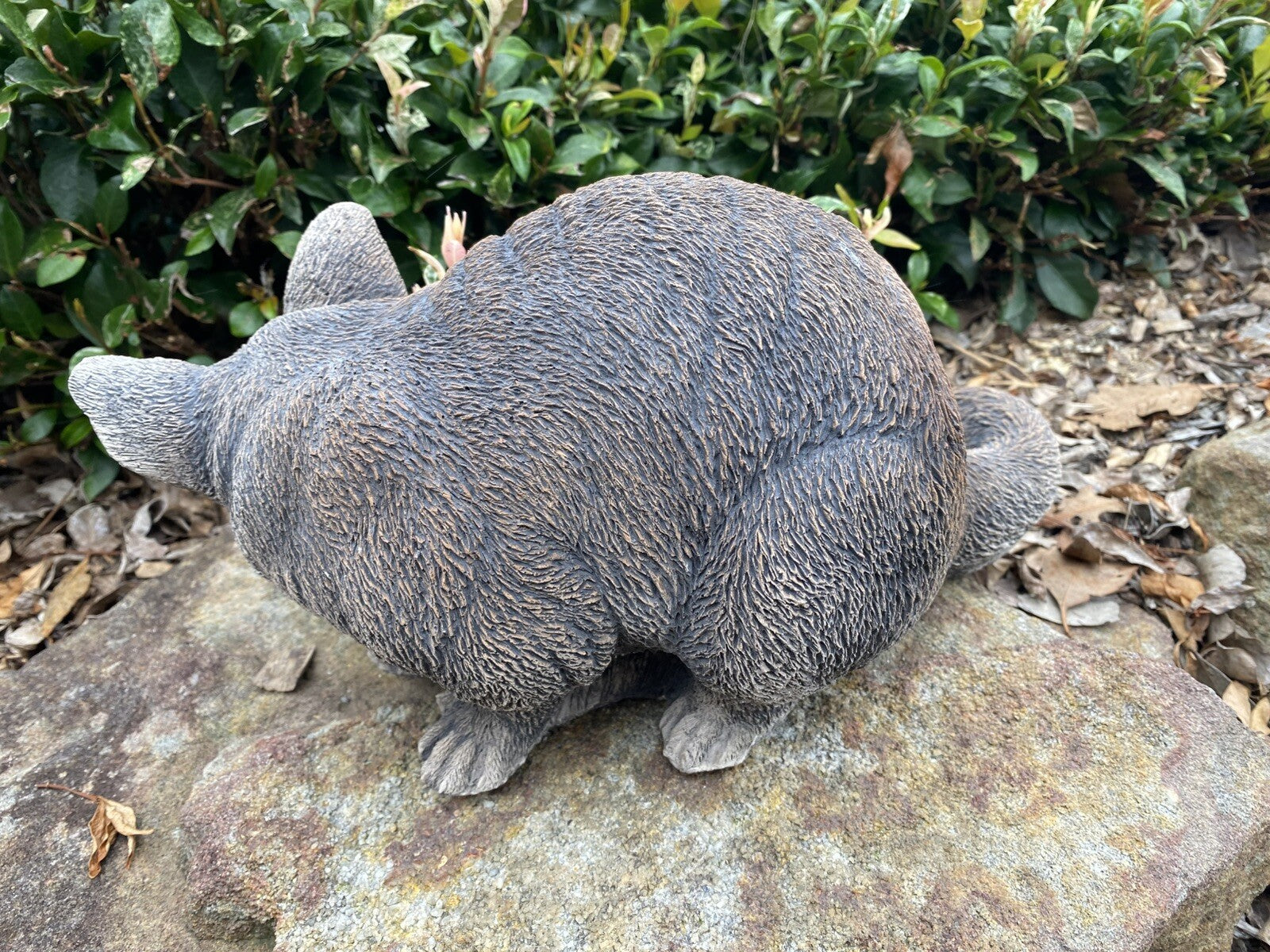 Australian Possum Concrete Cement Garden Statue Ornament Sculpture Home décor