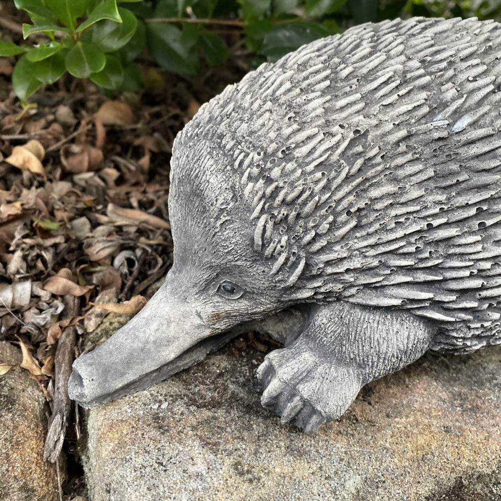 Australian Echidna Statue Ornament Animal Concrete Cement Garden Australian Made