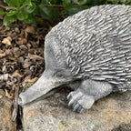 Australian Echidna Statue Ornament Animal Concrete Cement Garden Australian Made