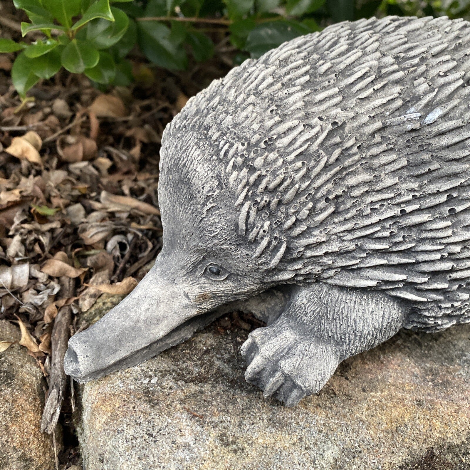 Australian Echidna Statue Ornament Animal Concrete Cement Garden Australian Made