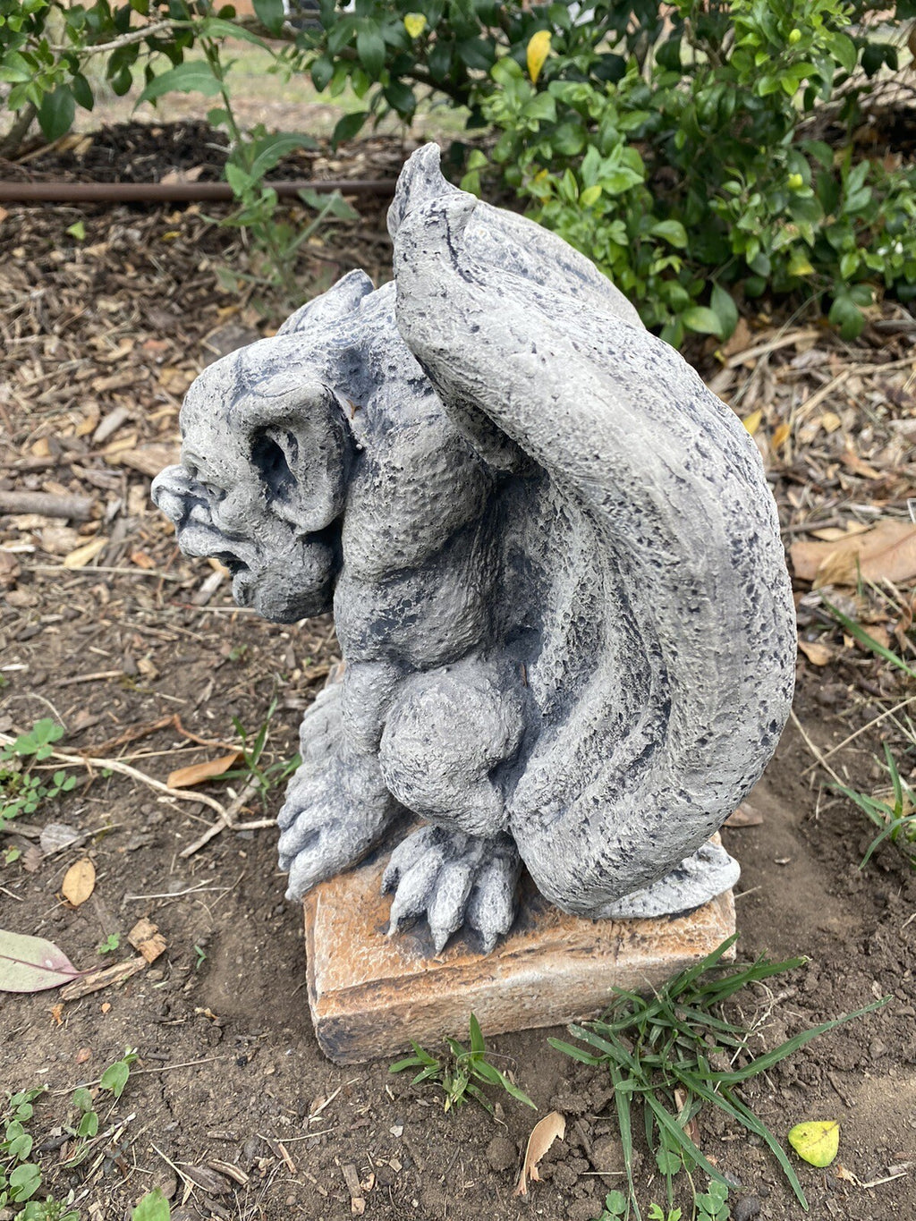 Gargoyle Garden Statue Medieval Ornament Animal Concrete Australian Made Grey