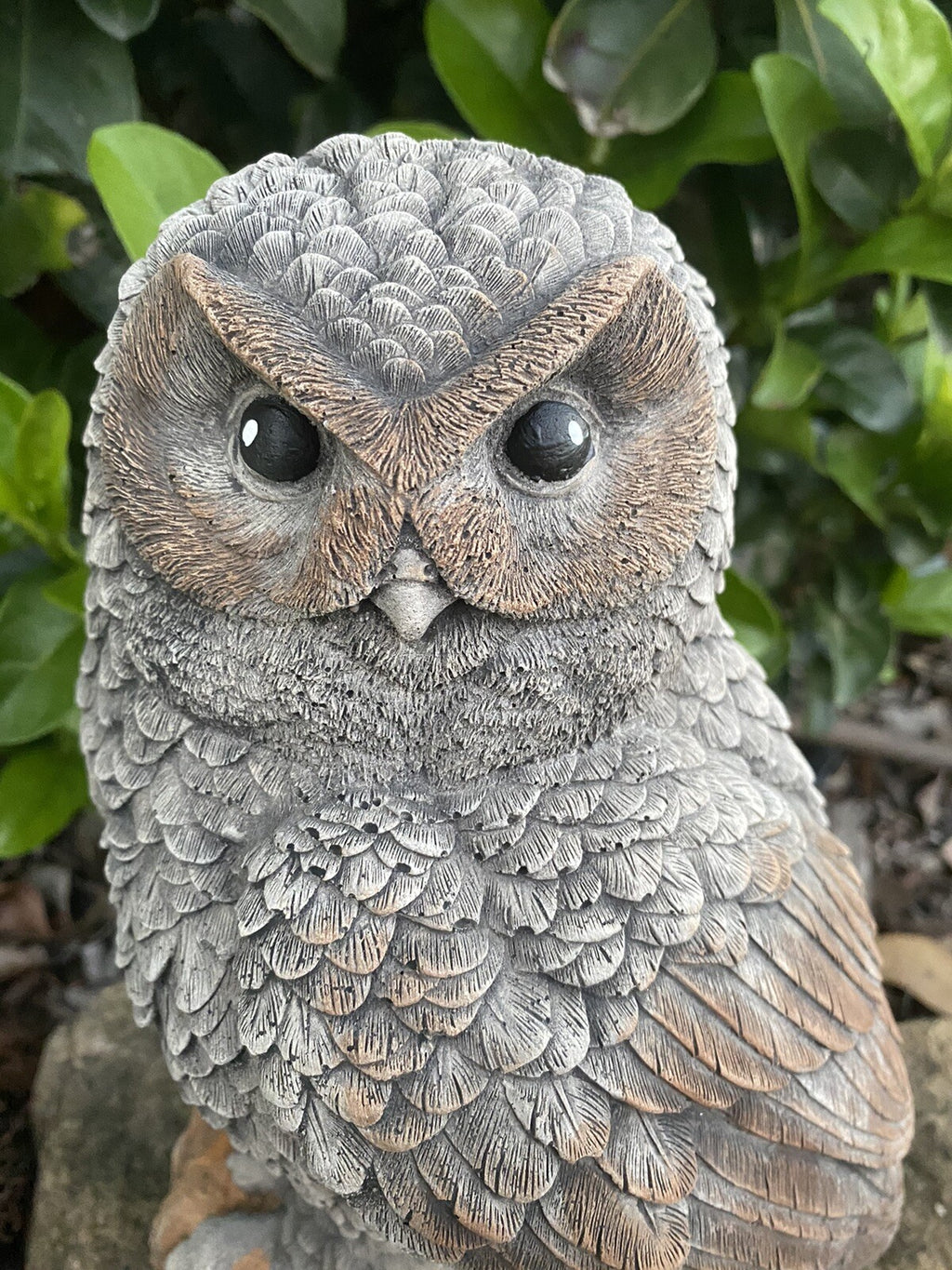 Owl Statue Ornament Animal Concrete Garden Australian Made