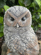 Owl Statue Ornament Animal Concrete Garden Australian Made