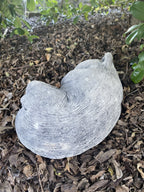 Australian Wombat Asleep Statue Ornament Animal Concrete Garden Australian Made