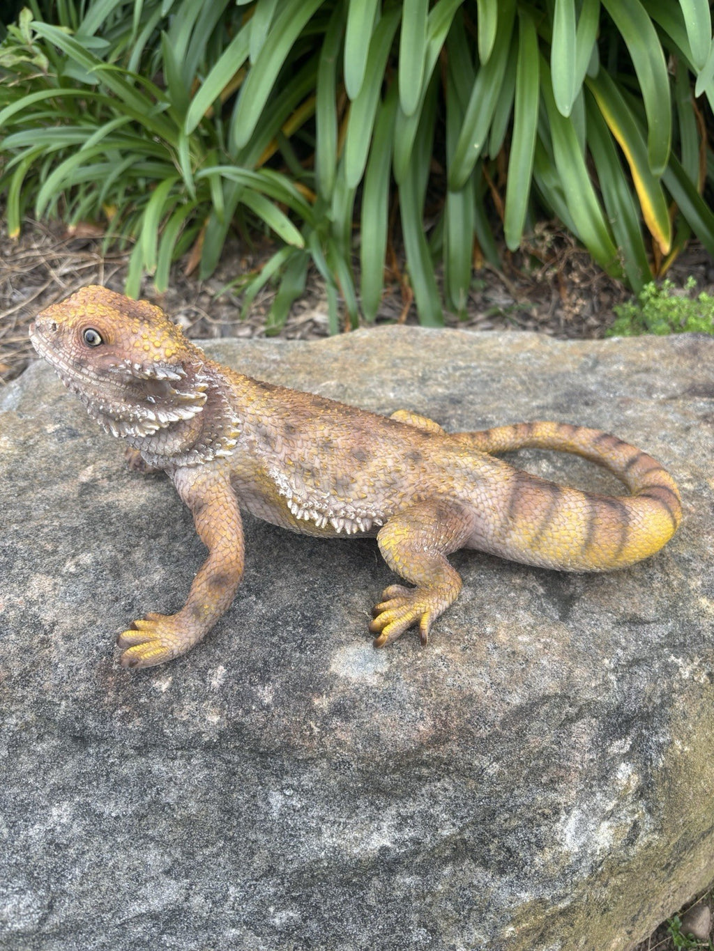 Bearded Dragon Lizard Garden Statue Ornament Figurine Life Size Figurine