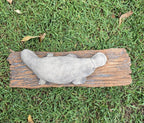 Platypus On A LogStatue Ornament Animal Concrete Cement Garden Australian Made