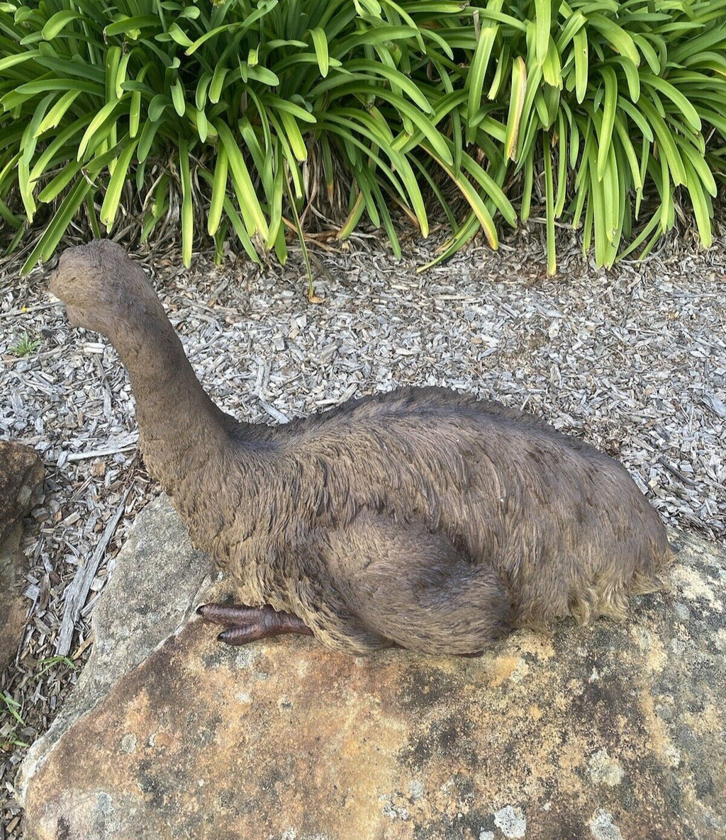 Emu Sitting Realistic Ornament Statue Garden Sculpture Décor  XLarge 65 cm