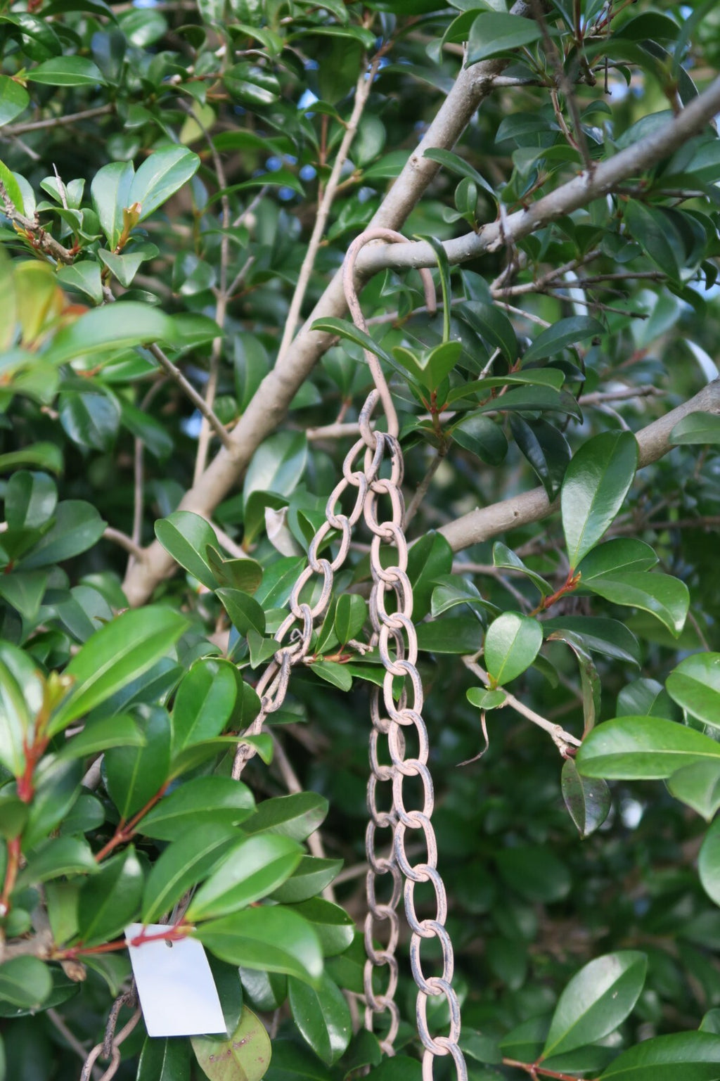 Wild Bird Feeder Wren Garden Outdoor Metal Hanging Brown Bird Design  29x29X58cm