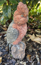 Galah Bird Statue Parrot Ornament Animal Concrete Garden Australian Made
