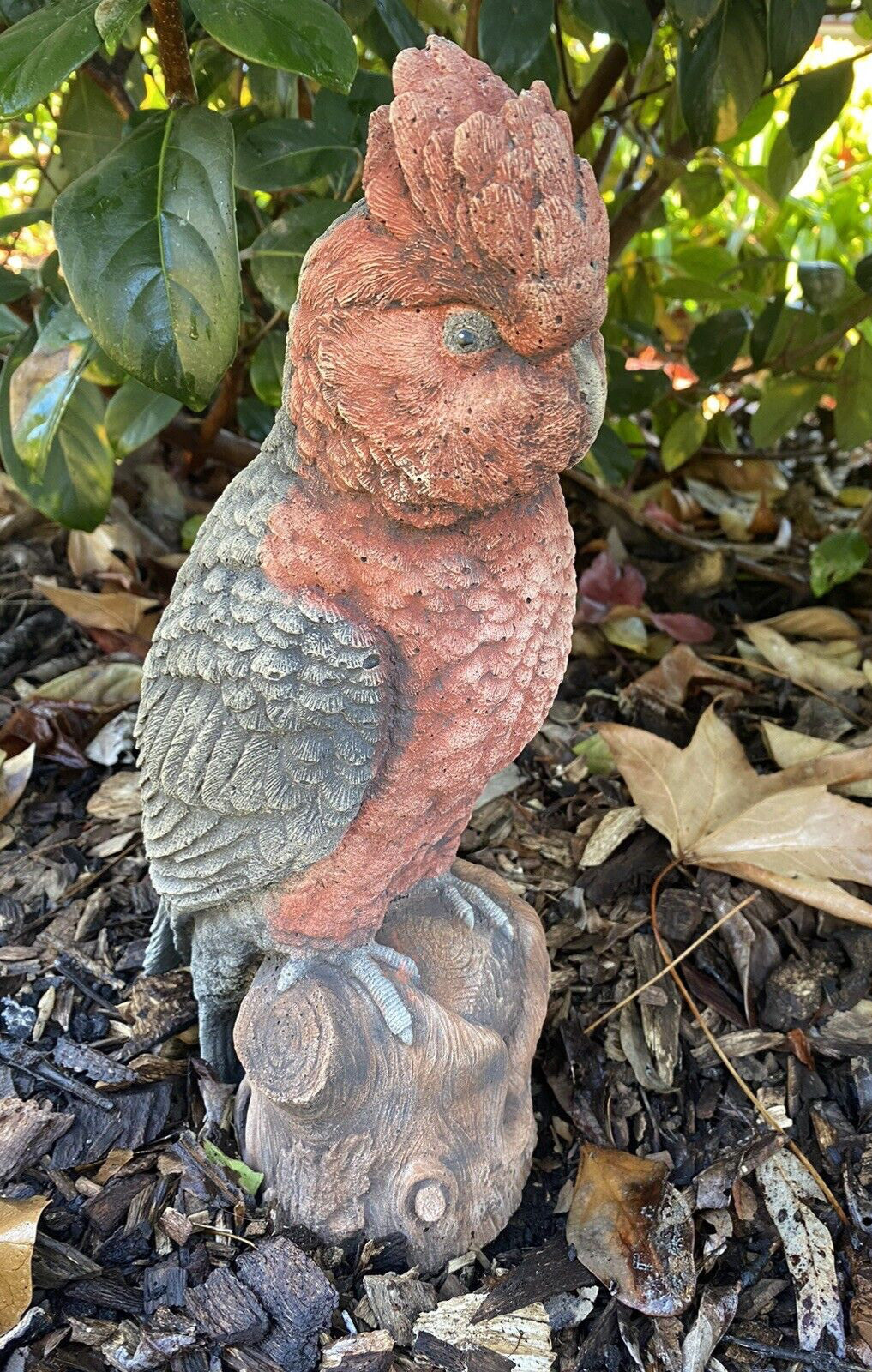 Galah Bird Statue Parrot Ornament Animal Concrete Garden Australian Made