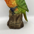 AUSTRALIAN RAINBOW LORIKEET BIRD ANIMAL GARDEN STATUE ORNAMENT  MONEY BOX