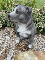 BLUE STAFFORDSHIRE -STAFFY PUPPY DOG ANIMAL GARDEN STATUE ORNAMENT FIGURINE