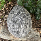 Australian Echidna Statue Ornament Animal Concrete Cement Garden Australian Made