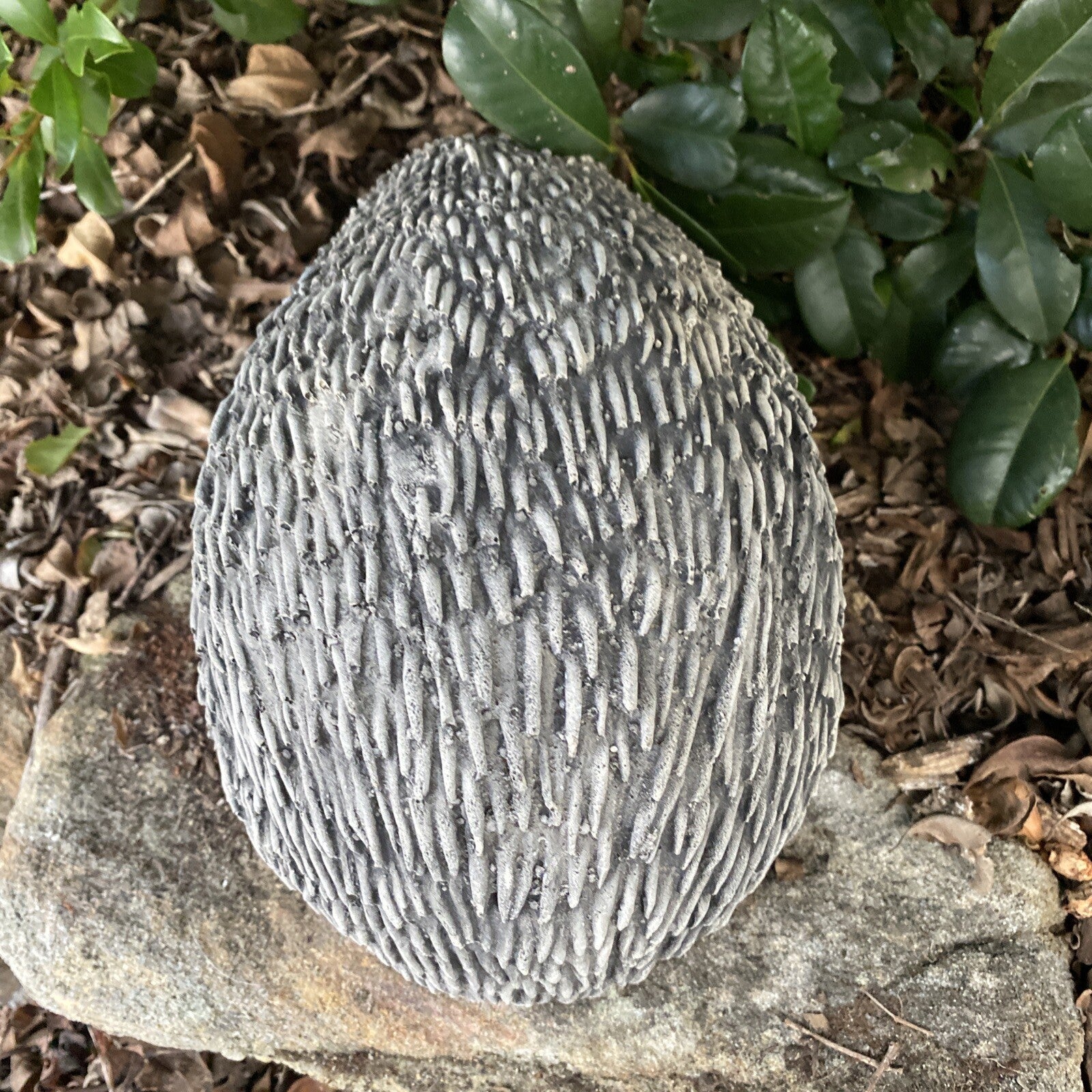 Australian Echidna Statue Ornament Animal Concrete Cement Garden Australian Made