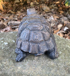 Turtle Tortoise Animal Concrete Garden Statue Ornament Australian Made 20cm