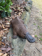 Platypus Statue Ornament Animal Concrete Cement Garden Australian Made Large Brn