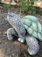 Turtle Tortoise Animal Concrete Cement Garden Statue Ornament Australian Made L