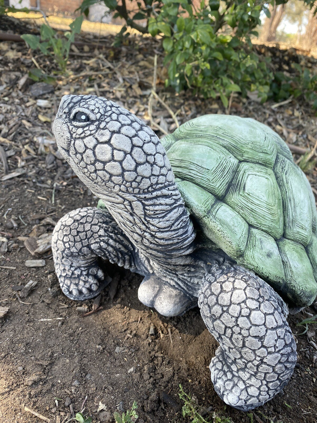 Turtle Tortoise Animal Concrete Cement Garden Statue Ornament Australian Made L