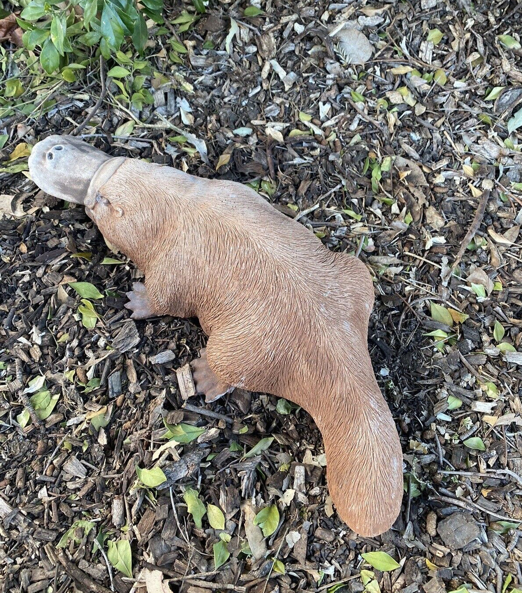 Platypus Statue Ornament Animal Concrete Cement Garden Australian Made Large