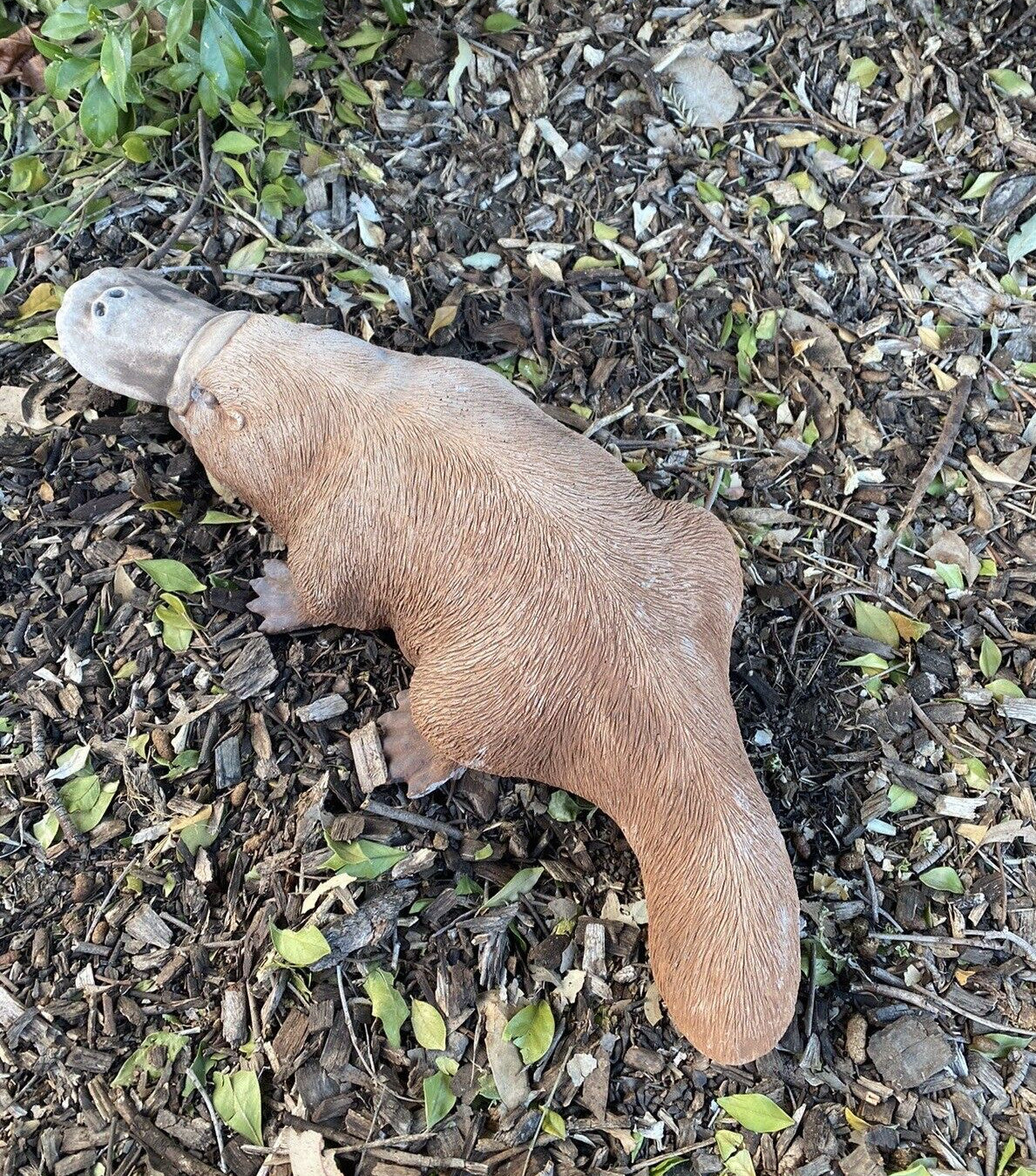 Platypus Statue Ornament Animal Concrete Cement Garden Australian Made Large