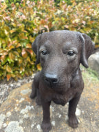 Resin Chocolate Labrador Dog Statue Garden Ornament Sitting Puppy