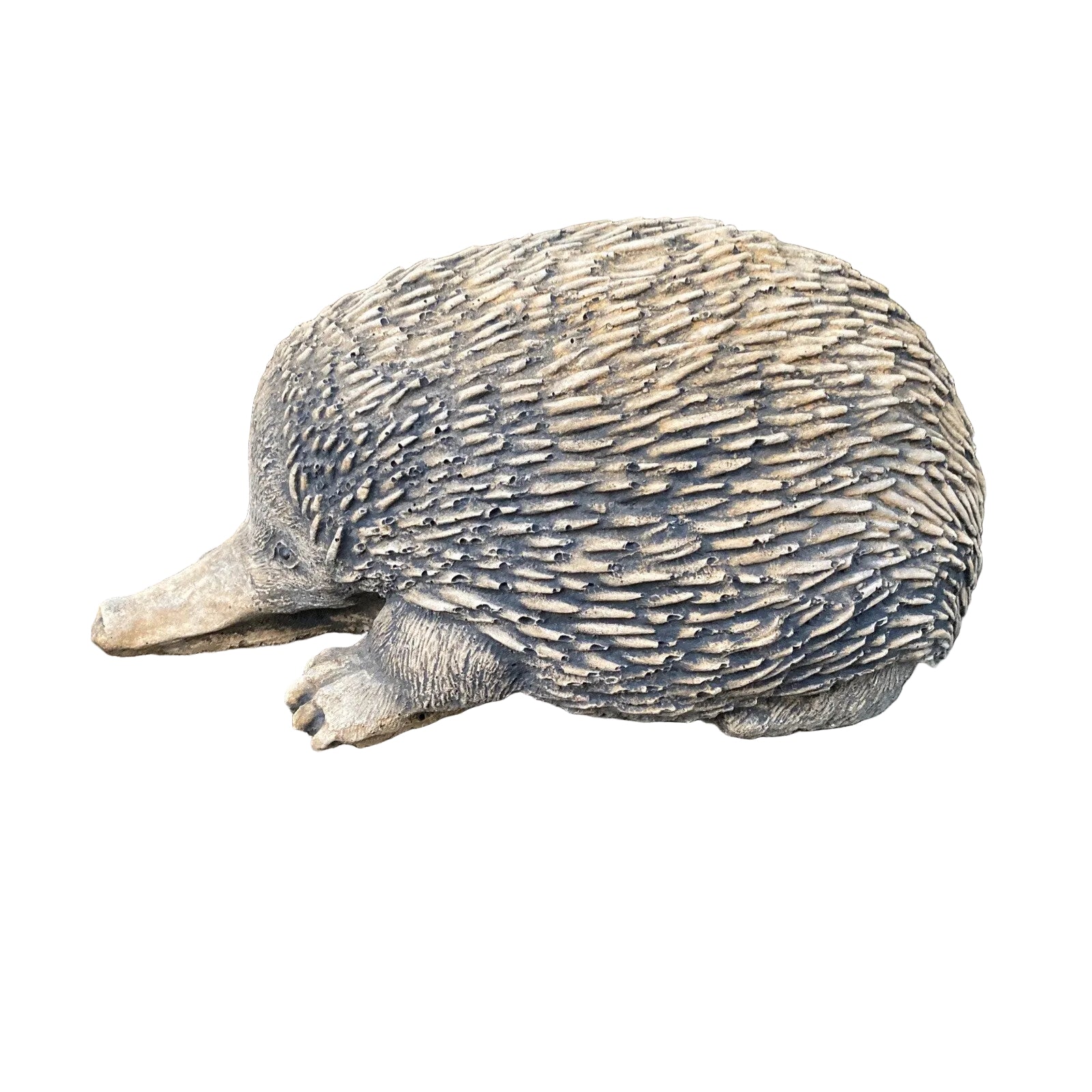 Australian Echidna Statue Ornament Animal Concrete Cement Garden Australian Made