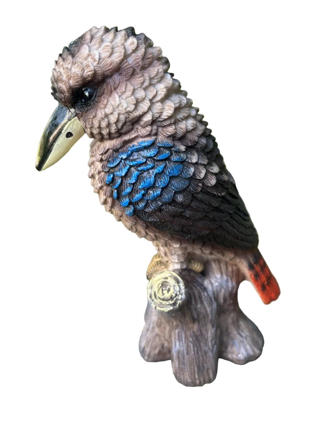 Australian Kookaburra On A Log
