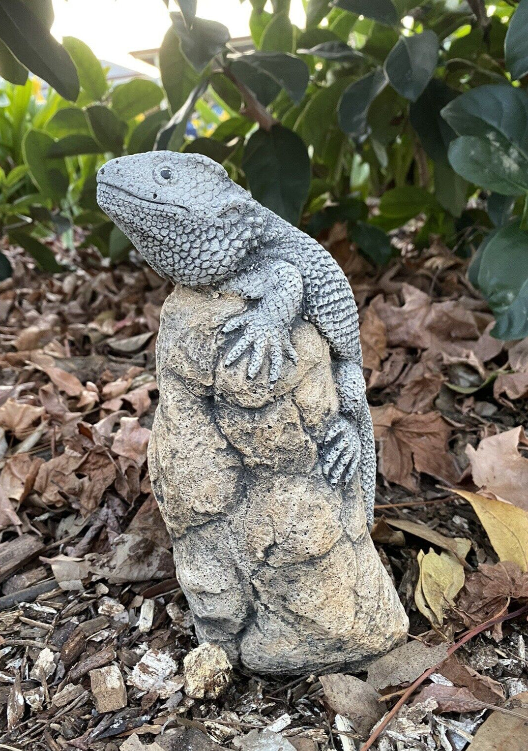Bearded Dragon Lizard Statue Ornament Animal Concrete Garden Australian Made