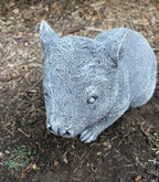 Wombat Statue Hairy Nose Ornament Animal Concrete Cement Garden Australian Made