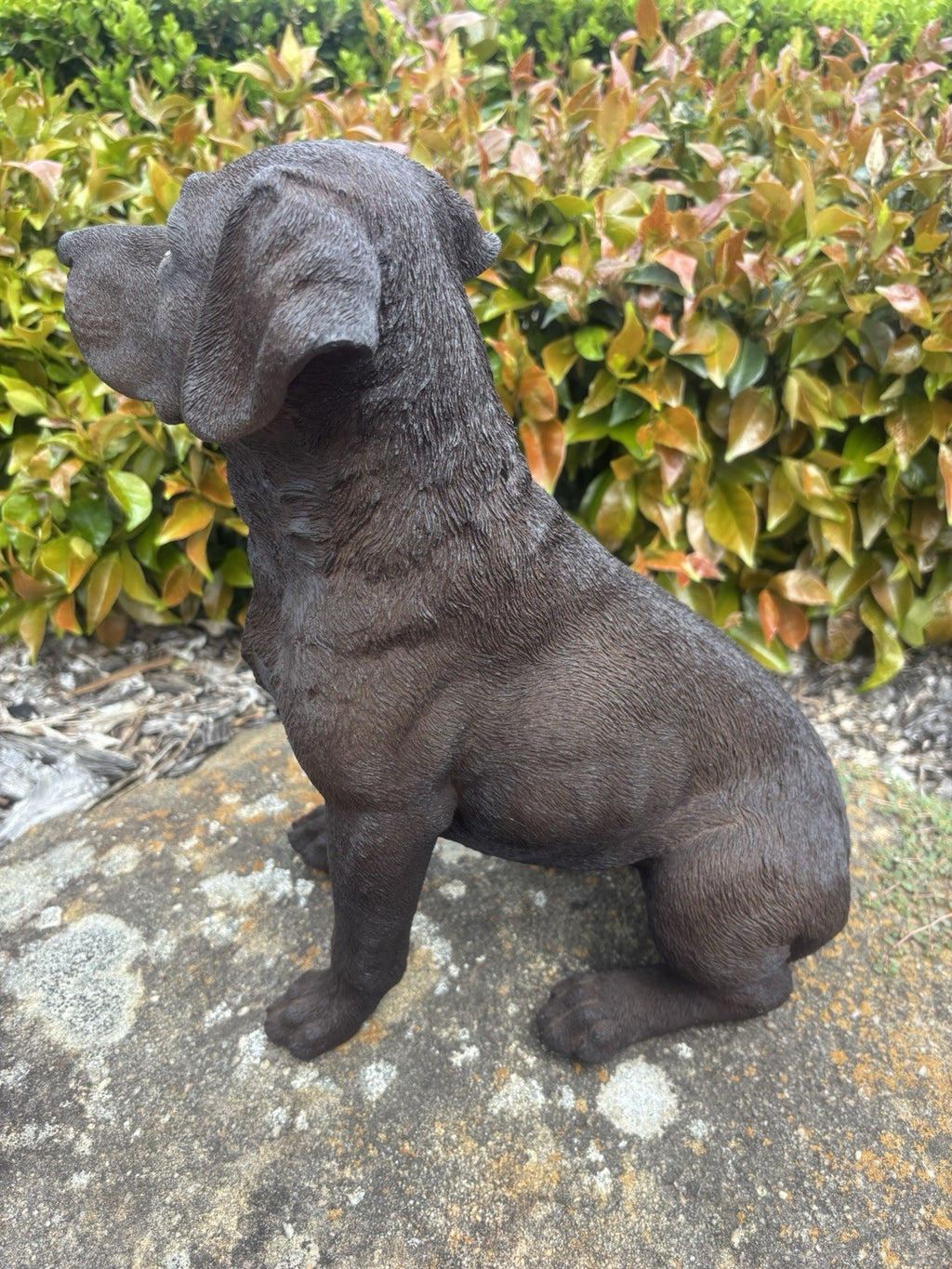 Resin Chocolate Labrador Dog Statue Garden Ornament Sitting Puppy