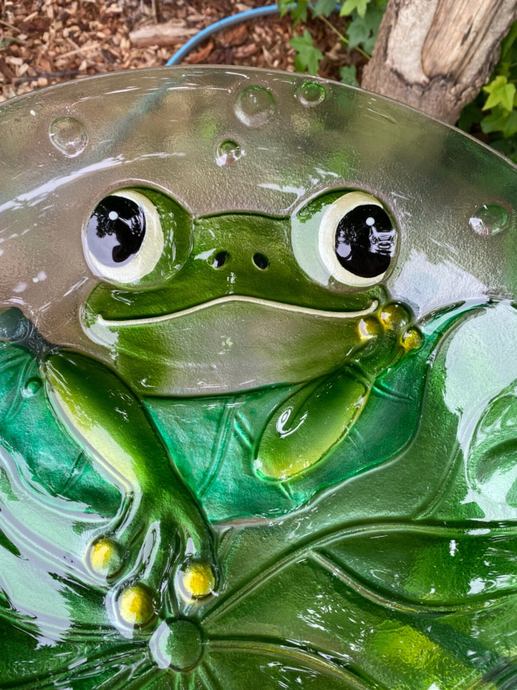 Wild Bird Bath Feeder Food Station Garden Ornaments Green Frog Ladybug Bee Water