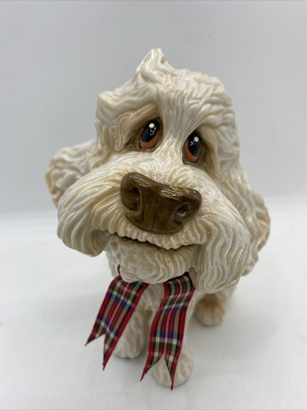 Little Paws - Winnie The Poodle Cocapoo Cross Cavoodle Pets With Personality