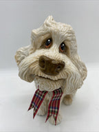 Little Paws - Winnie The Poodle Cocapoo Cross Cavoodle Pets With Personality