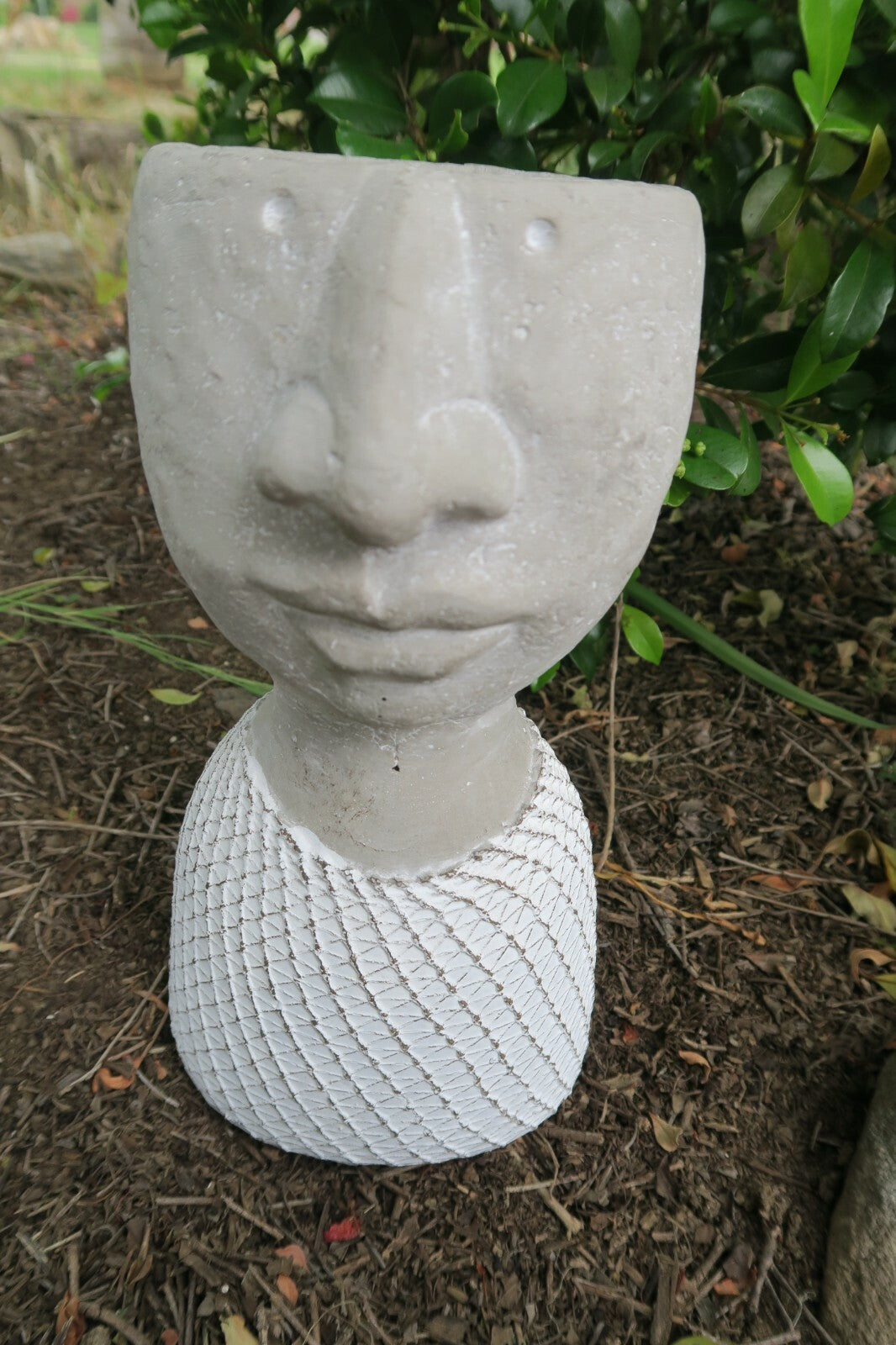 HEAD POT PLANT PLANTER WITH MESH LOOK SUCCULENT GARDEN FEATURE SET OF 2 LARGE