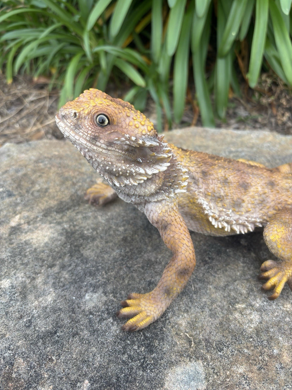 Bearded Dragon Lizard Garden Statue Ornament Figurine Life Size Figurine