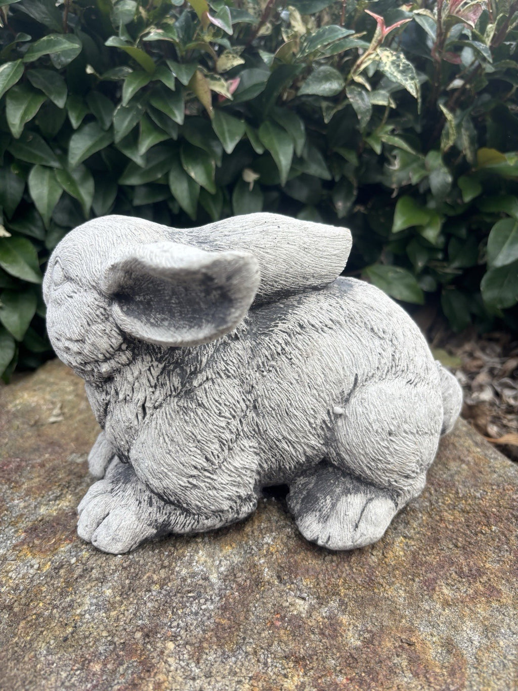 Australian Made Concrete Rabbits Garden Statue | Standing & Laying Bunny