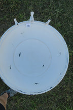 Wild Bird Bath Feeder Food Station Garden Ornaments Metal White Pad Bee Water