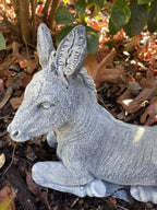 Donkey Jack Arse Statue Farm  Ornament Animal Concrete Garden Australian Made
