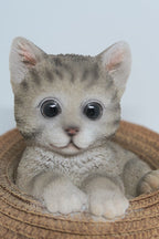 GREY TABBY CAT MEMORAIL IN A HAT MONEY BOX ANIMAL GARDEN STATUE ORNAMENT  GIFT