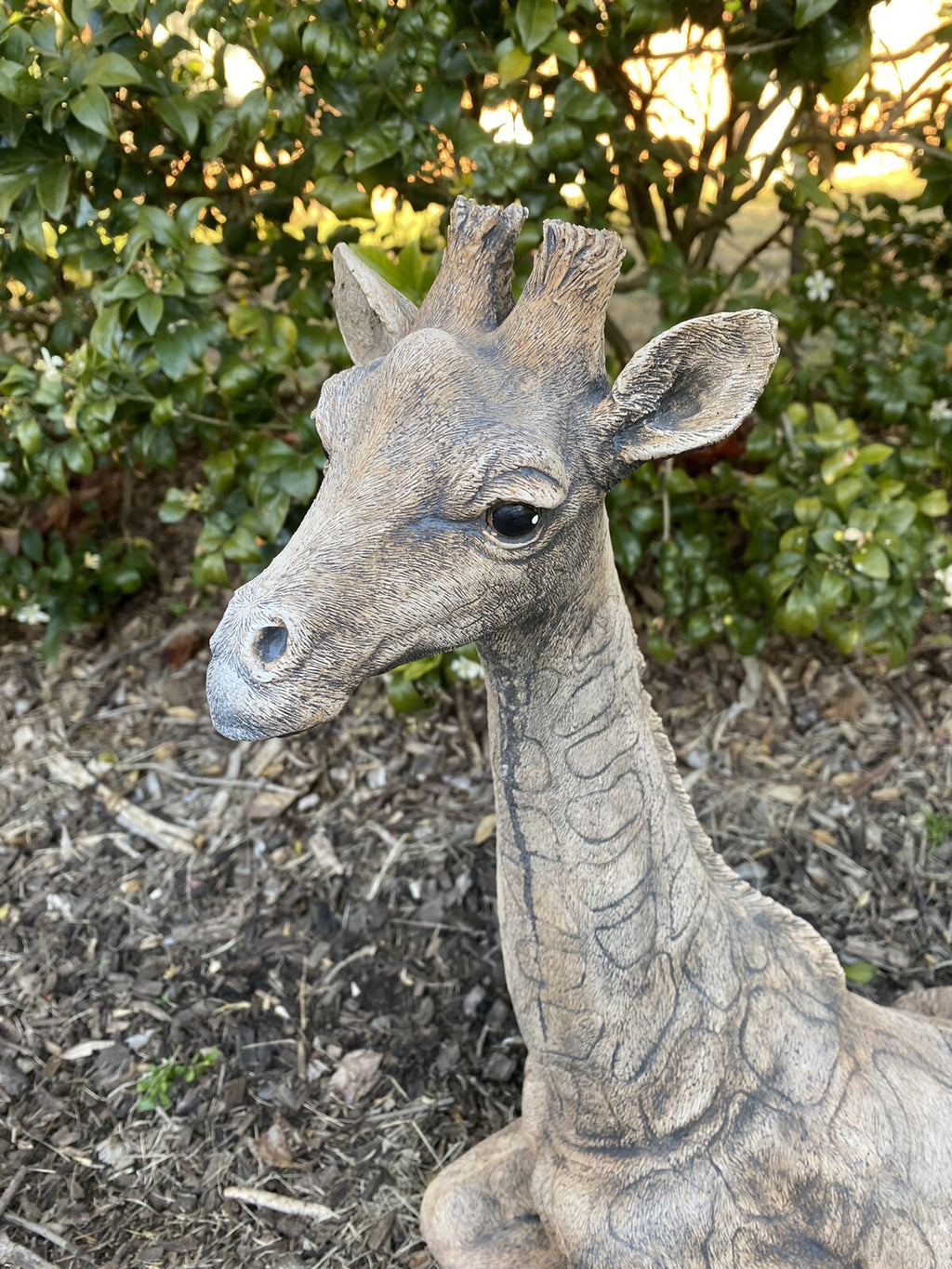 Giraffe African Animal Statue Ornament Animal Concrete Garden Australian Made
