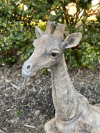 Giraffe African Animal Statue Ornament Animal Concrete Garden Australian Made