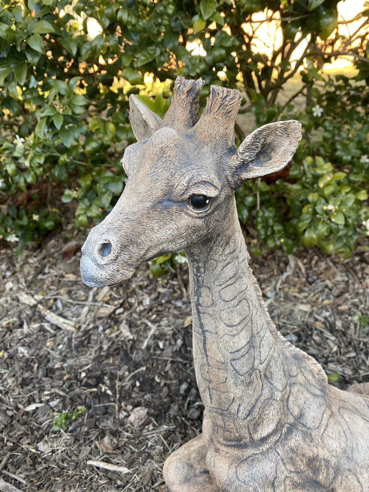 Giraffe African Animal Statue Ornament Animal Concrete Garden Australian Made
