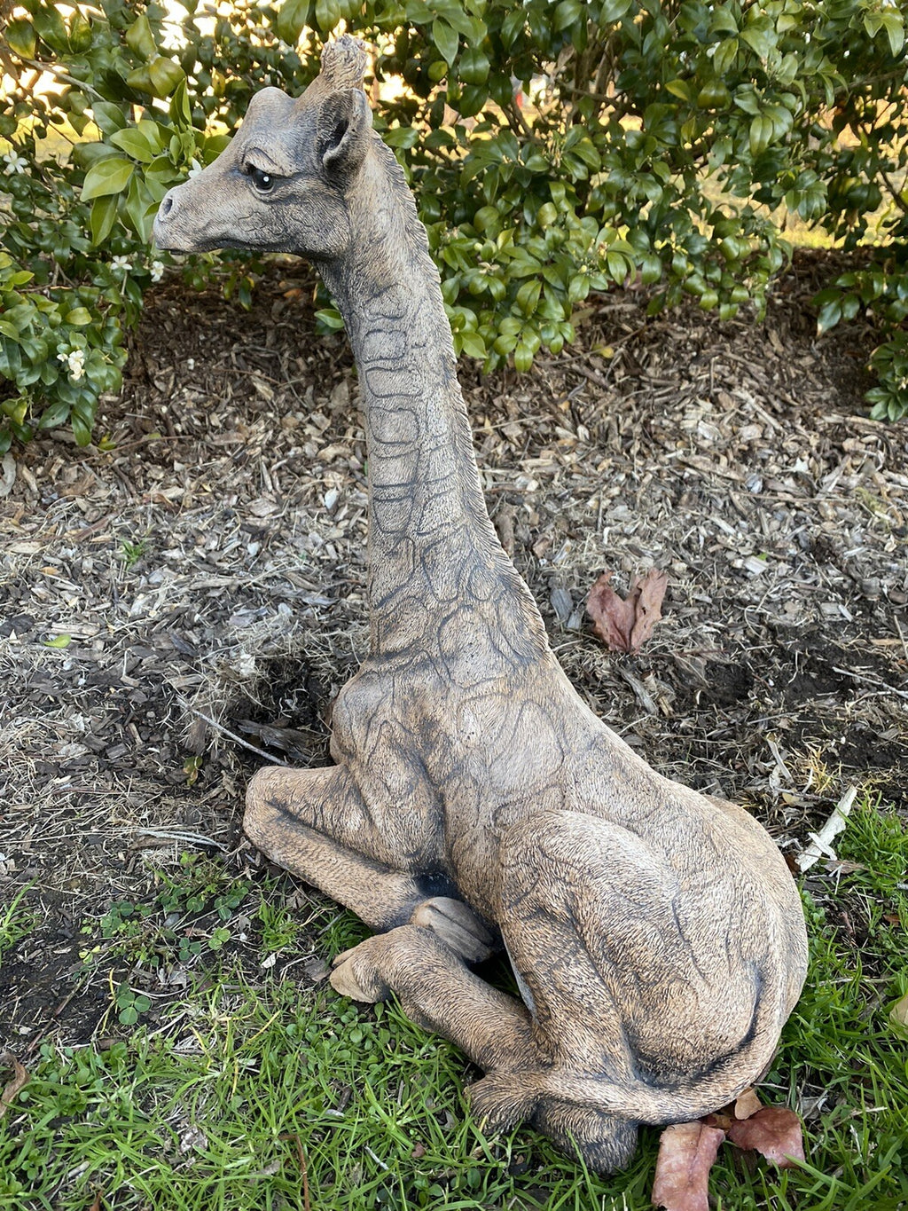 Giraffe African Animal Statue Ornament Animal Concrete Garden Australian Made