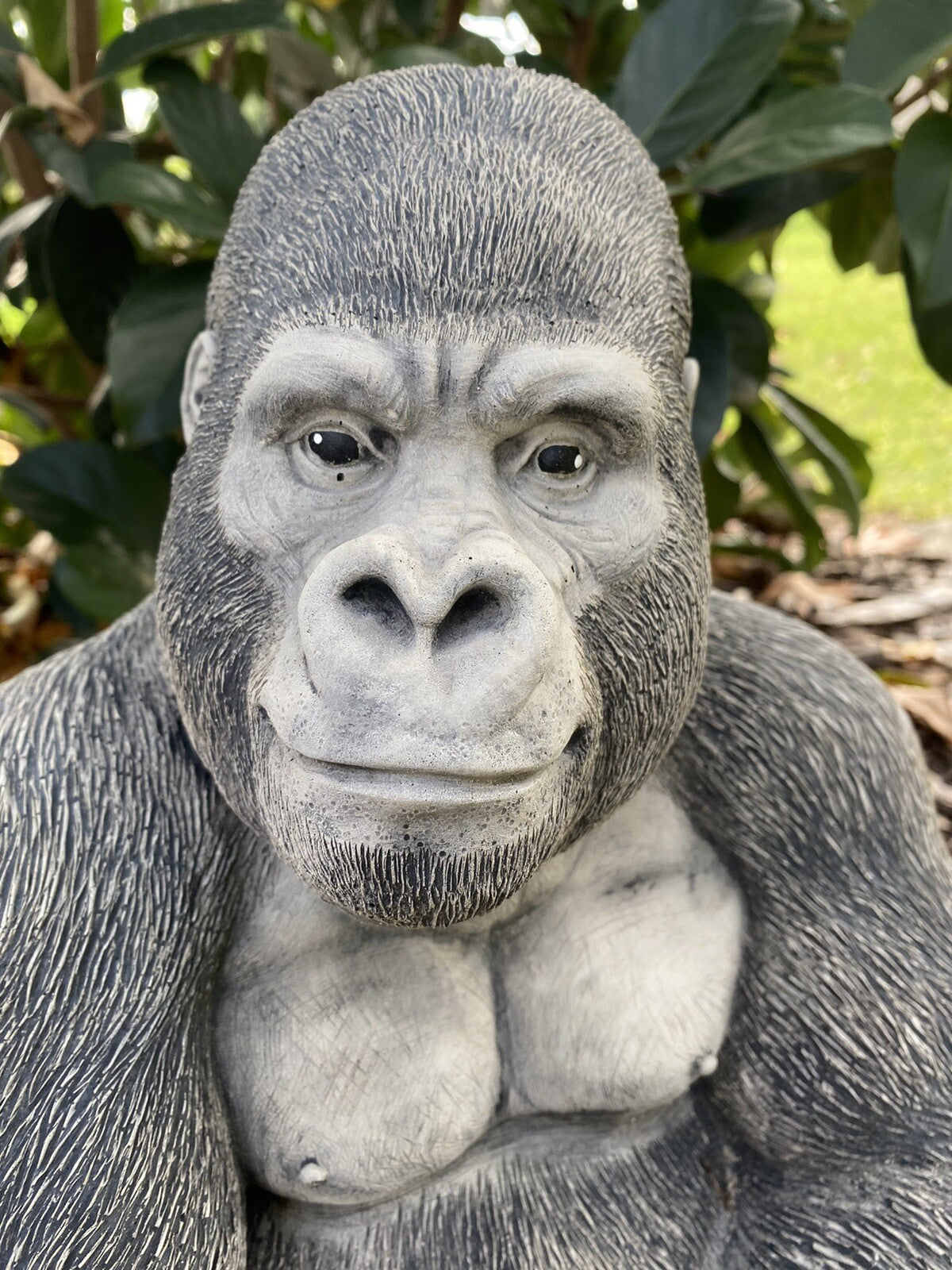 Gorilla Ape Monkey Statue Ornament Animal Concrete Cement Garden Australian Made