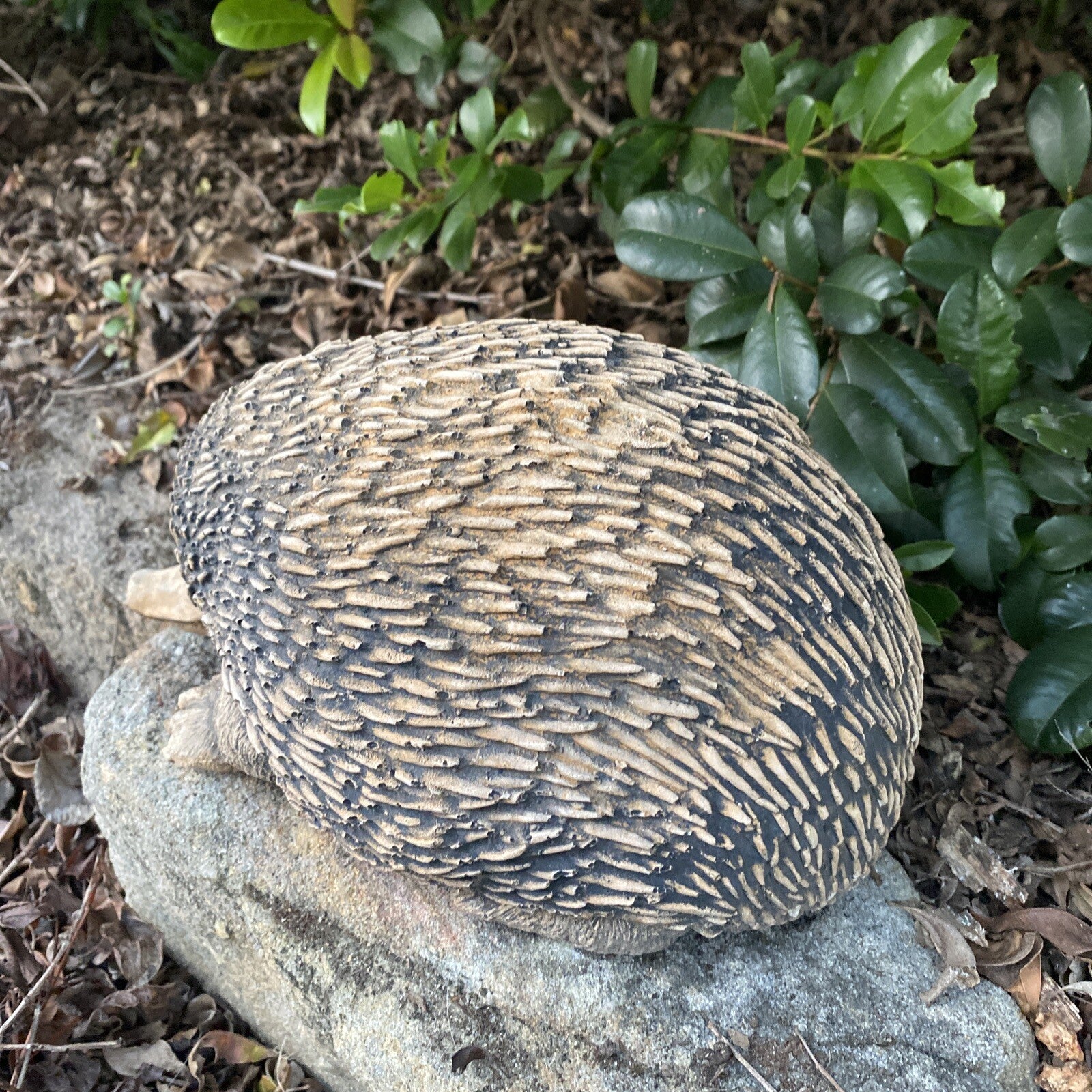 Australian Echidna Statue Ornament Animal Concrete Cement Garden Australian Made