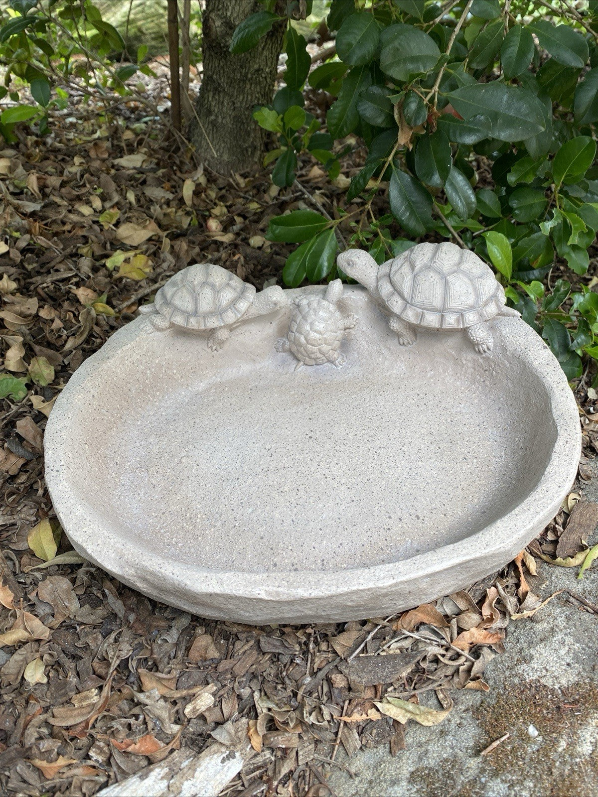Turtle Design Bird Bath Bee Water Station